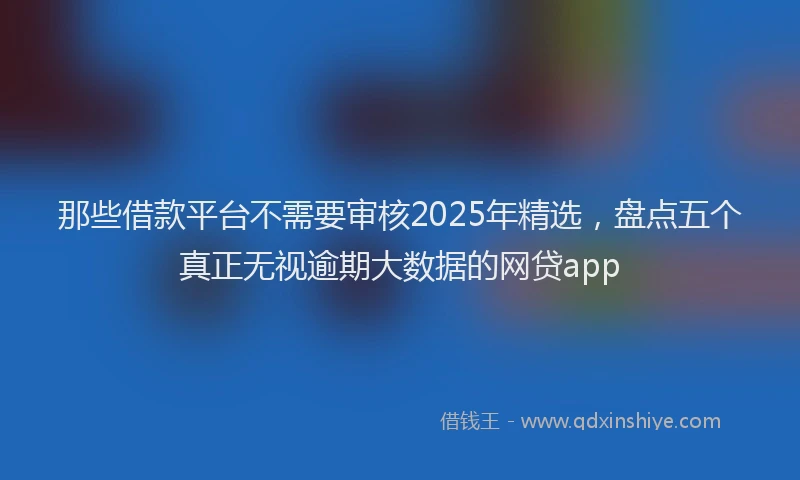 那些借款平台不需要审核2025年精选，盘点五个真正无视逾期大数据的网贷app