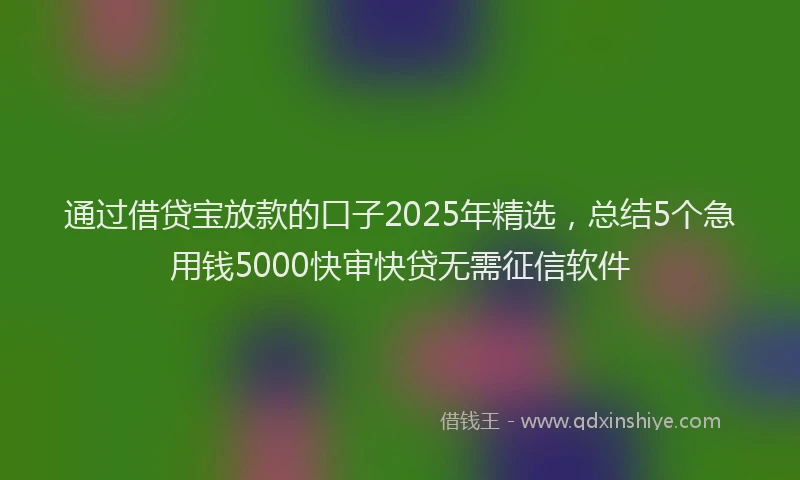 通过借贷宝放款的口子2025年精选，总结5个急用钱5000快审快贷无需征信软件
