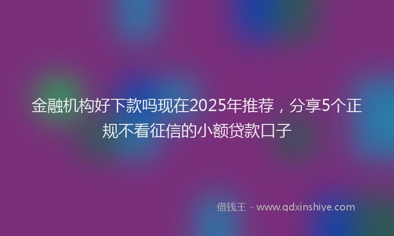 金融机构好下款吗现在2025年推荐，分享5个正规不看征信的小额贷款口子