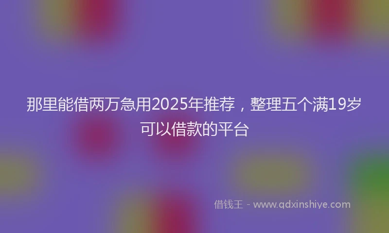 那里能借两万急用2025年推荐，整理五个满19岁可以借款的平台