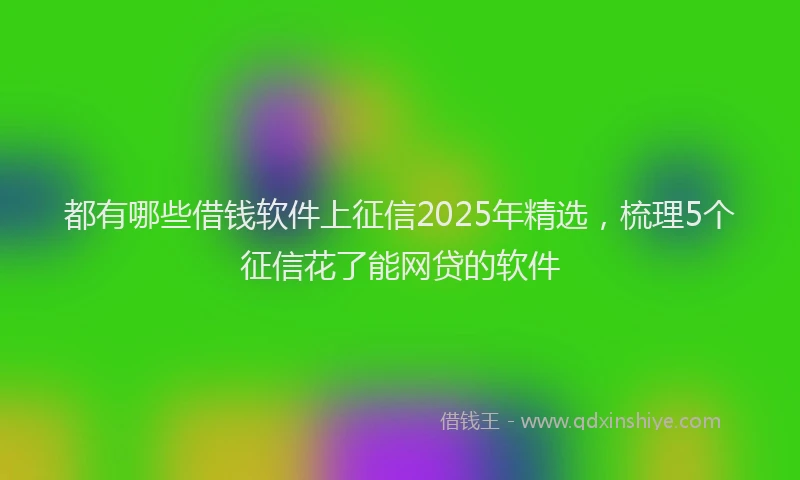 都有哪些借钱软件上征信2025年精选，梳理5个征信花了能网贷的软件