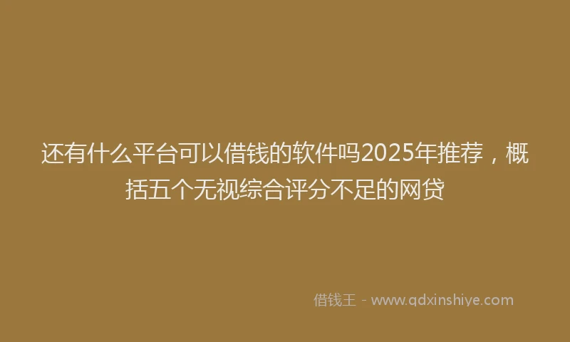 还有什么平台可以借钱的软件吗2025年推荐，概括五个无视综合评分不足的网贷