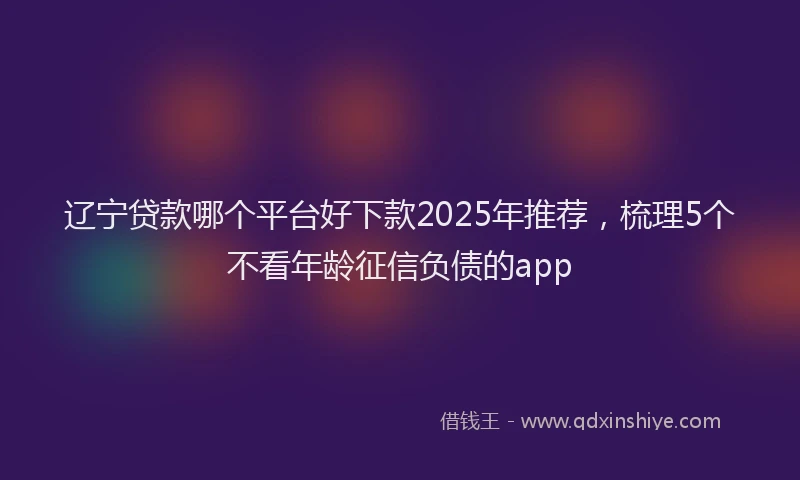 辽宁贷款哪个平台好下款2025年推荐，梳理5个不看年龄征信负债的app