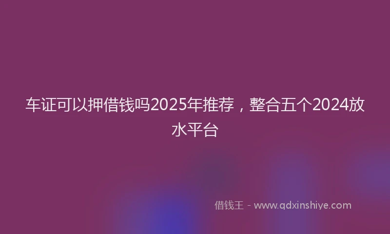 车证可以押借钱吗2025年推荐，整合五个2024放水平台