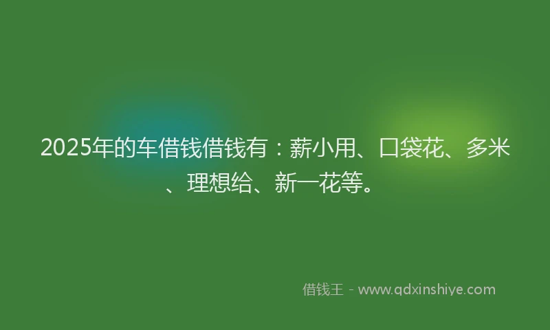 2025年的车借钱借钱有：薪小用、口袋花、多米、理想给、新一花等。