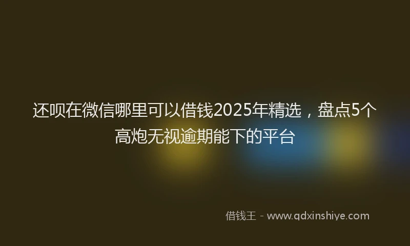 还呗在微信哪里可以借钱2025年精选，盘点5个高炮无视逾期能下的平台
