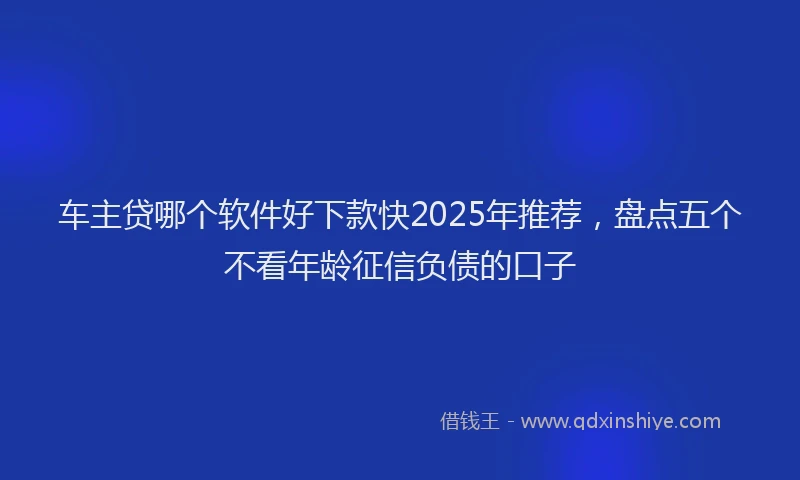 车主贷哪个软件好下款快2025年推荐，盘点五个不看年龄征信负债的口子