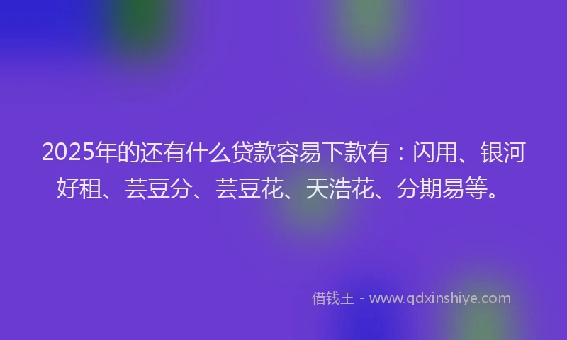 2025年的还有什么贷款容易下款有：闪用、银河好租、芸豆分、芸豆花、天浩花、分期易等。