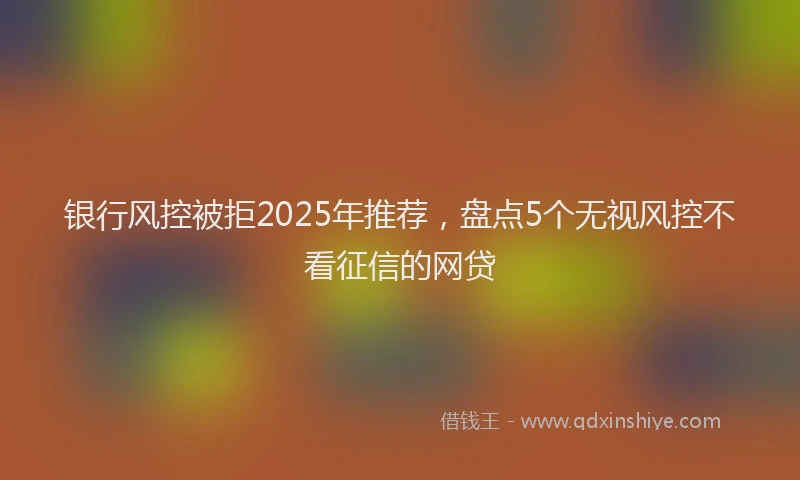 银行风控被拒2025年推荐，盘点5个无视风控不看征信的网贷