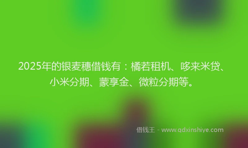 2025年的银麦穗借钱有：橘若租机、哆来米贷、小米分期、蒙享金、微粒分期等。