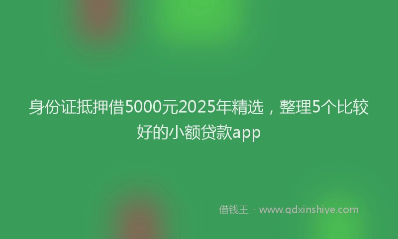 身份证抵押借5000元2025年精选，整理5个比较好的小额贷款app