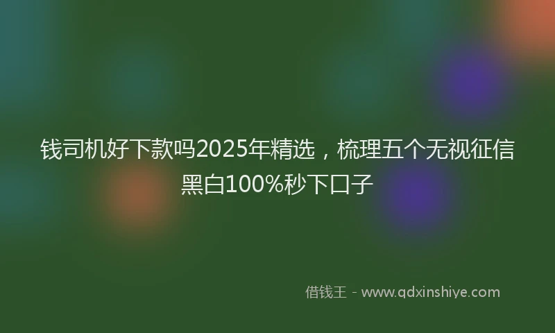 钱司机好下款吗2025年精选，梳理五个无视征信黑白100%秒下口子