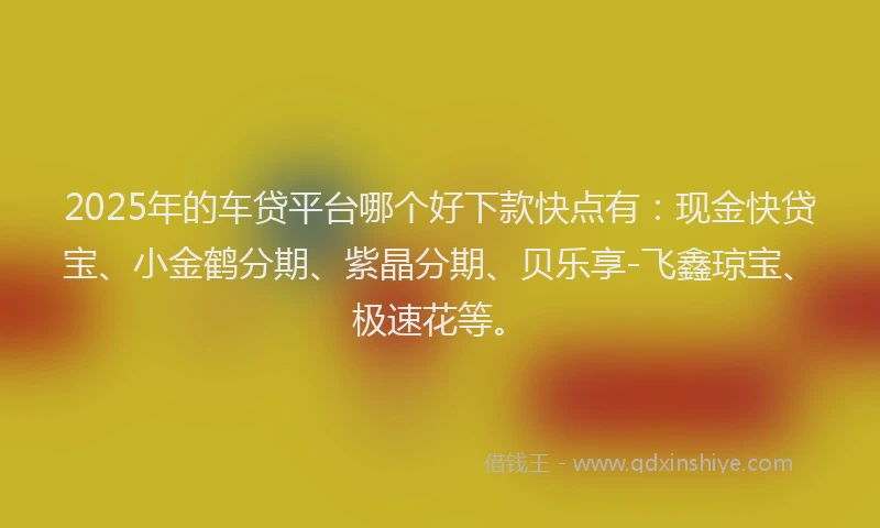 2025年的车贷平台哪个好下款快点有：现金快贷宝、小金鹤分期、紫晶分期、贝乐享-飞鑫琼宝、极速花等。