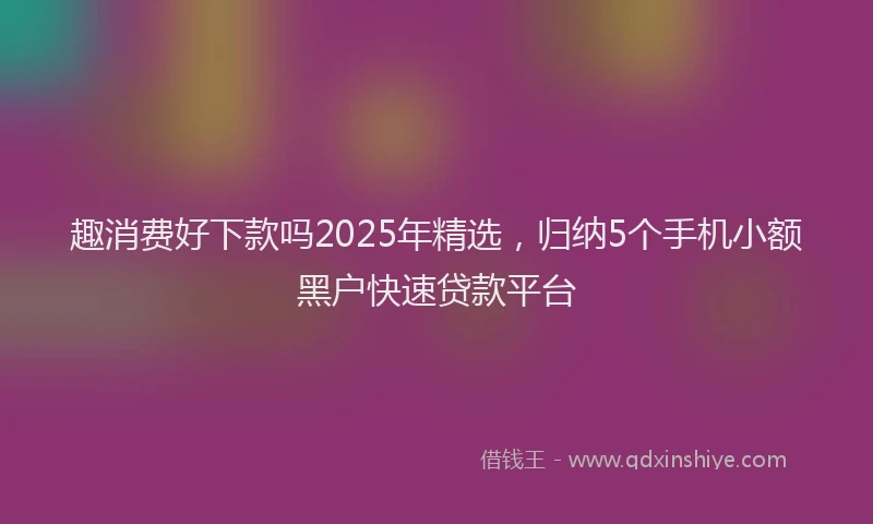 趣消费好下款吗2025年精选，归纳5个手机小额黑户快速贷款平台
