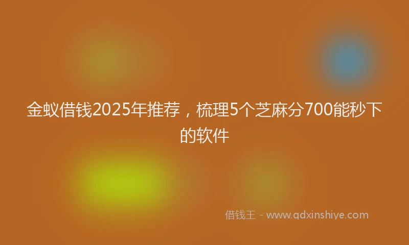 金蚁借钱2025年推荐，梳理5个芝麻分700能秒下的软件
