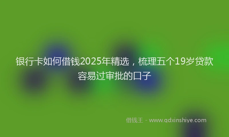 银行卡如何借钱2025年精选，梳理五个19岁贷款容易过审批的口子