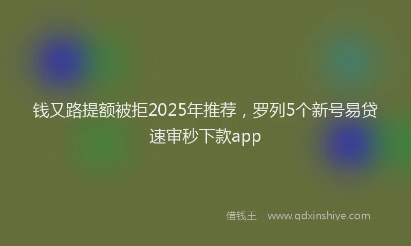 钱又路提额被拒2025年推荐，罗列5个新号易贷速审秒下款app