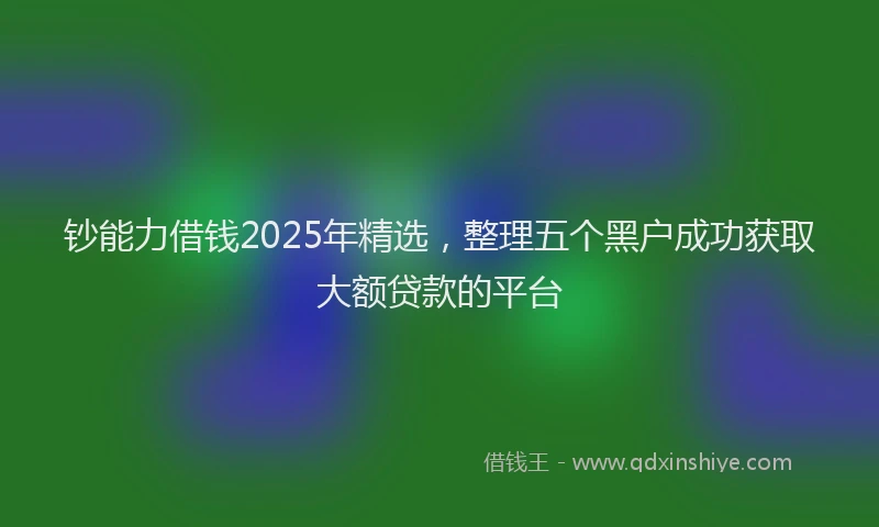 钞能力借钱2025年精选，整理五个黑户成功获取大额贷款的平台