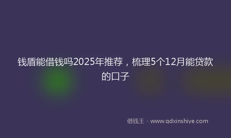 钱盾能借钱吗2025年推荐，梳理5个12月能贷款的口子