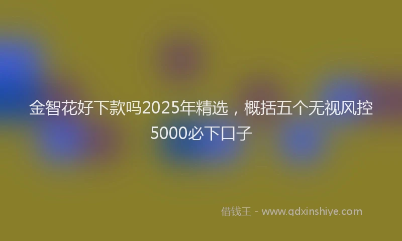金智花好下款吗2025年精选，概括五个无视风控5000必下口子