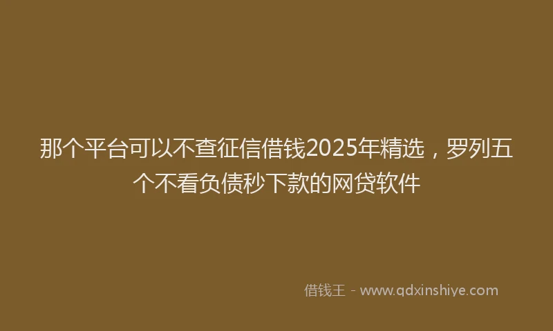 那个平台可以不查征信借钱2025年精选，罗列五个不看负债秒下款的网贷软件