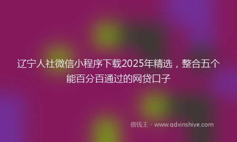 辽宁人社微信小程序下载2025年精选，整合五个能百分百通过的网贷口子