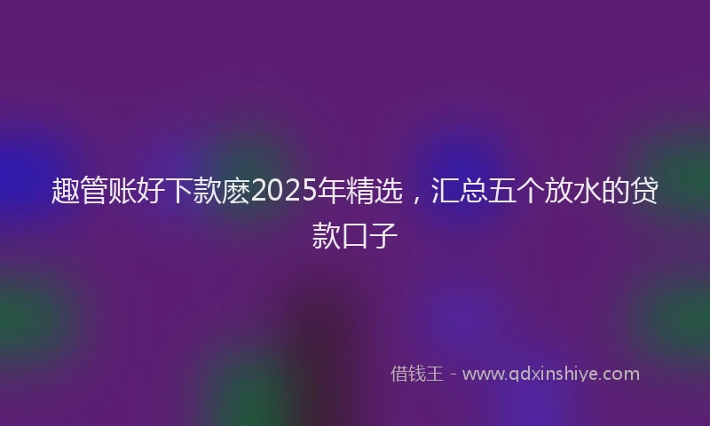 趣管账好下款麽2025年精选，汇总五个放水的贷款口子
