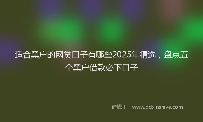 适合黑户的网贷口子有哪些2025年精选，盘点五个黑户借款必下口子