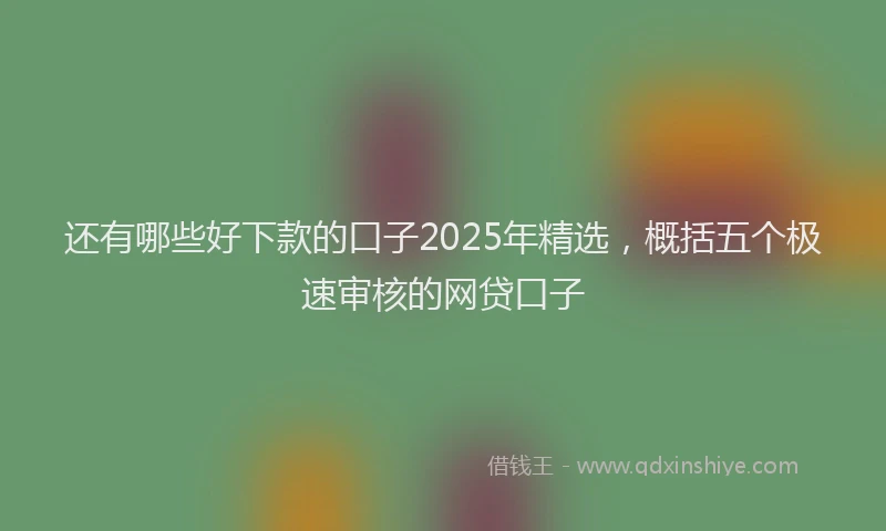 还有哪些好下款的口子2025年精选，概括五个极速审核的网贷口子