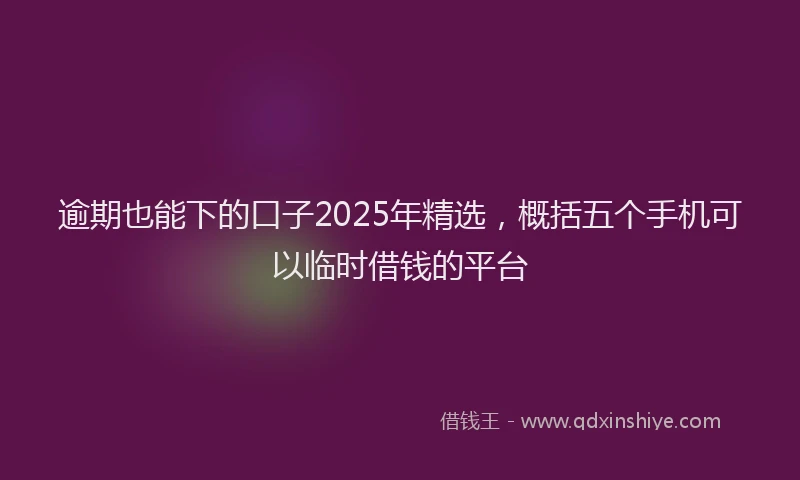 逾期也能下的口子2025年精选，概括五个手机可以临时借钱的平台