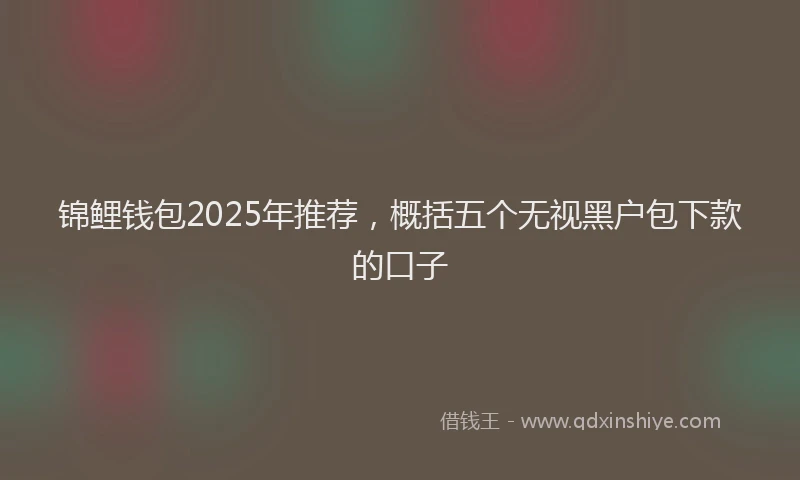 锦鲤钱包2025年推荐，概括五个无视黑户包下款的口子