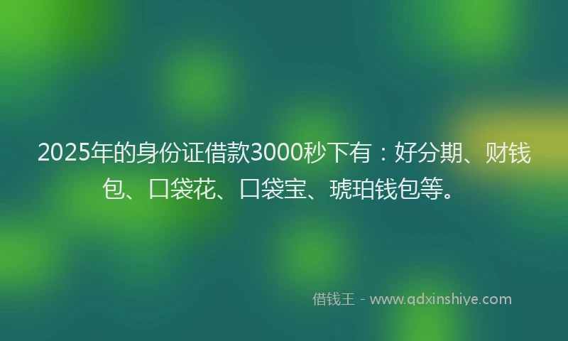 2025年的身份证借款3000秒下有：好分期、财钱包、口袋花、口袋宝、琥珀钱包等。