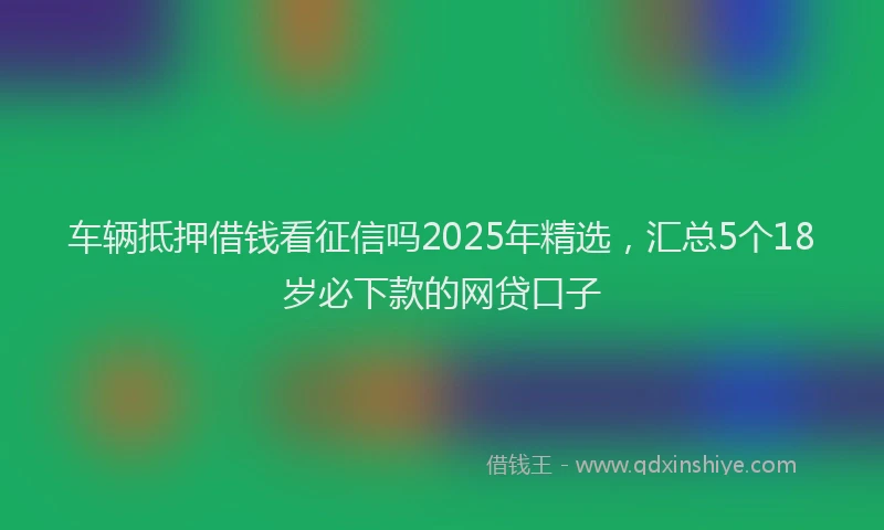 车辆抵押借钱看征信吗2025年精选，汇总5个18岁必下款的网贷口子