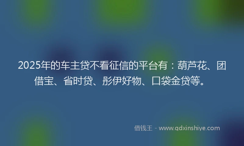 2025年的车主贷不看征信的平台有：葫芦花、团借宝、省时贷、彤伊好物、口袋金贷等。