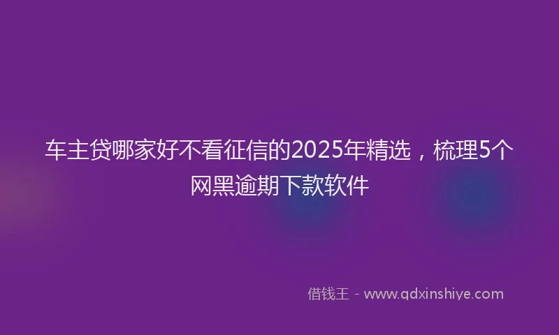 车主贷哪家好不看征信的2025年精选，梳理5个网黑逾期下款软件