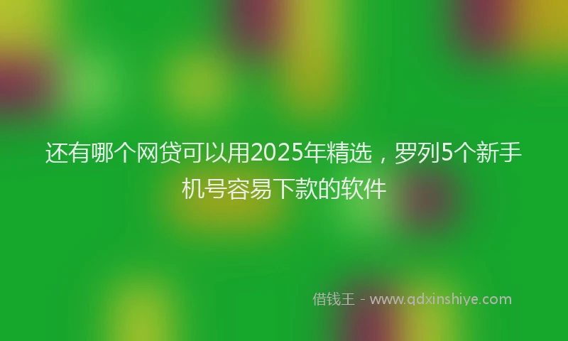 还有哪个网贷可以用2025年精选，罗列5个新手机号容易下款的软件