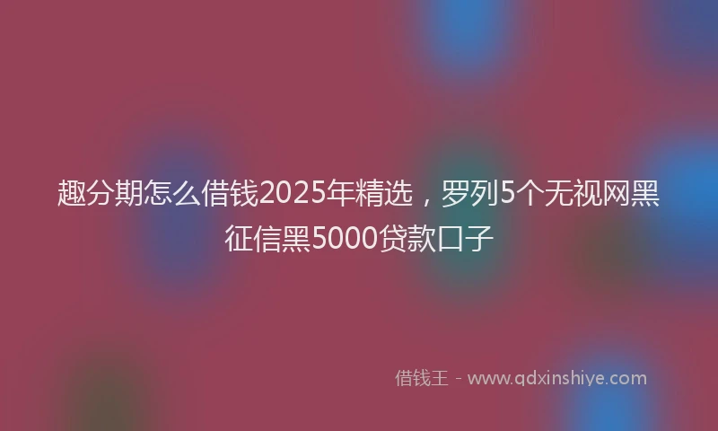 趣分期怎么借钱2025年精选，罗列5个无视网黑征信黑5000贷款口子