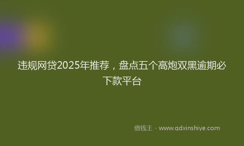 违规网贷2025年推荐，盘点五个高炮双黑逾期必下款平台