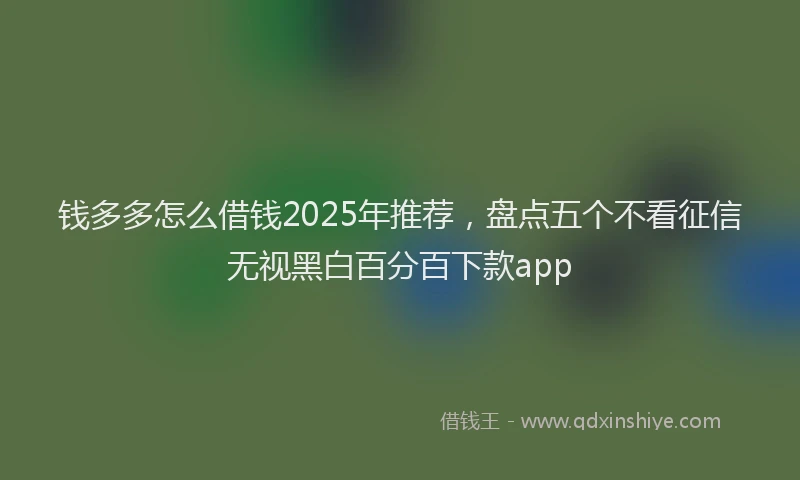 钱多多怎么借钱2025年推荐，盘点五个不看征信无视黑白百分百下款app
