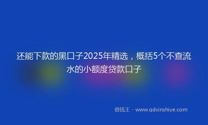还能下款的黑口子2025年精选，概括5个不查流水的小额度贷款口子