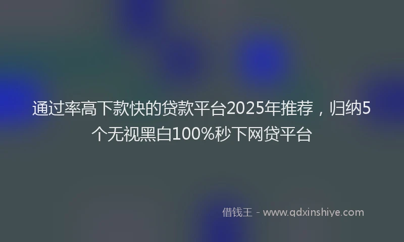 通过率高下款快的贷款平台2025年推荐，归纳5个无视黑白100%秒下网贷平台
