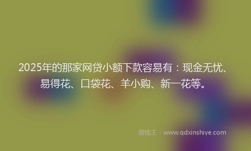 2025年的那家网贷小额下款容易有：现金无忧、易得花、口袋花、羊小购、新一花等。
