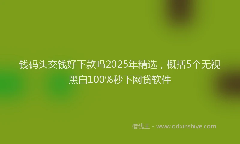 钱码头交钱好下款吗2025年精选，概括5个无视黑白100%秒下网贷软件