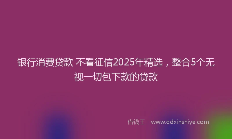 银行消费贷款 不看征信2025年精选，整合5个无视一切包下款的贷款