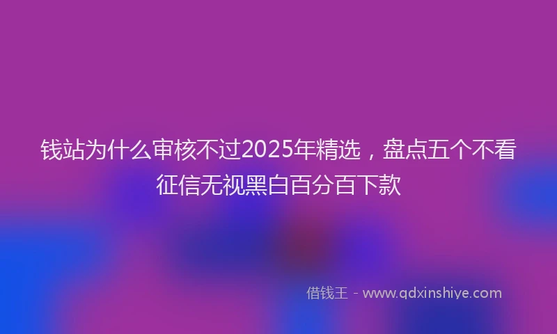 钱站为什么审核不过2025年精选，盘点五个不看征信无视黑白百分百下款