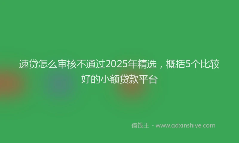 速贷怎么审核不通过2025年精选，概括5个比较好的小额贷款平台