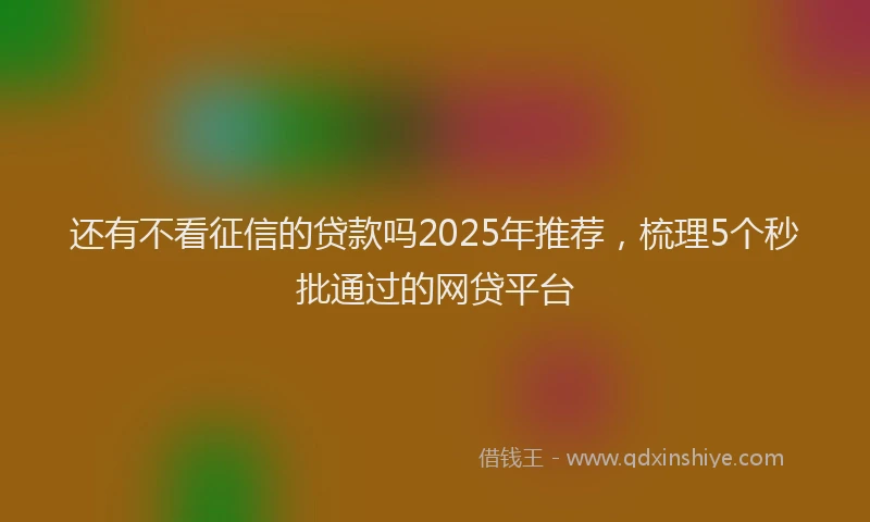 还有不看征信的贷款吗2025年推荐，梳理5个秒批通过的网贷平台