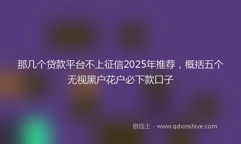 那几个贷款平台不上征信2025年推荐，概括五个无视黑户花户必下款口子
