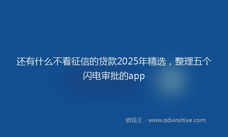 还有什么不看征信的贷款2025年精选，整理五个闪电审批的app