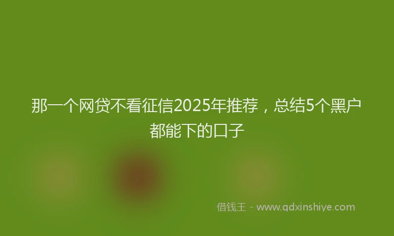 那一个网贷不看征信2025年推荐，总结5个黑户都能下的口子